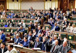 “النواب” يوافق مبدئيا على تعديل إنشاء هيئة تنمية الطاقة الجديدة