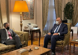 شكري يناقش التعاون مع المدير العام للوكالة الدولية للطاقة الذرية