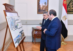 السيسي يوجه بتعزيز مشروعات تطوير قناة السويس لدعم مكانتها المتفردة