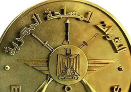 قوات حرس الحدود تضبط 240 قطعة سلاح و230 عربة تسلل وتهريب