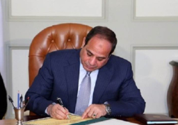 قرار جمهوري بالموافقة على قرض لتنمية سياسات تطوير قطاع الكهرباء