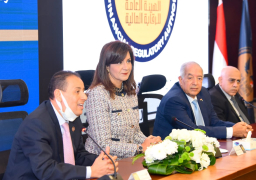 بدء تطبيق أول تأمين للمصريين بالخارج أول يناير المقبل