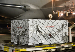 الصحة: استقبال 347 ألف جرعة من لقاح أسترازنيكا بمطار القاهرة الدولي