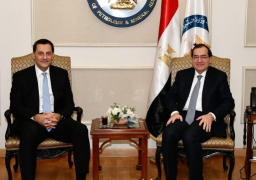 انرجين العالمية تستهدف التوسع في إنتاج الغاز الطبيعى من مناطق عملها في مصر بالبحر المتوسط