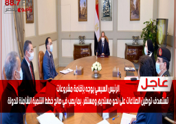 الرئيس السيسي يوجه بالتنسيق مع القطاع الخاص لإقامة مشروعات توطين الصناعات على نحو مستديم ومستقر، بما يصب في صالح خطط التنمية الشاملة للدولة