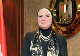 وزيرة الصناعة : ضخ 13ر1 مليار جنيه بمحافظة أسوان خلال 7 سنوات