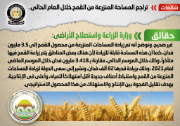 “الوزراء” ينفي شائعة تراجع المساحة المنزرعة من القمح خلال العام الحالي