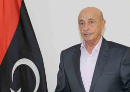 رئيس مجلس النواب الليبي: لم ولن نكون سببا في تعطيل الانتخابات