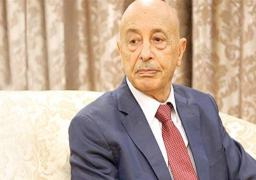 رئيس مجلس النواب الليبي والمبعوث الأمريكي يبحثان تطور الانتخابات