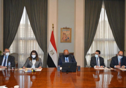 شكري يؤكد أهمية التضامن الإفريقي لدعم صمود القارة أمام كافة الأزمات