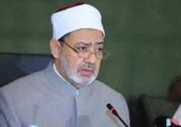 الأزهر يدين الهجمات الإرهابية بولاية “زامفارا” في نيجيريا