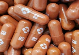 المغرب يُجيز استخدام عقار “مولنوبيرافير” لعلاج كورونا