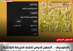 بالإنفوجراف .. التعاون الدولي تكشف الخريطة التفاعلية للمشروعات الممولة من شركاء التنمية بمختلف المحافظات