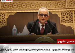 بعد موافقة الـ«الشيوخ».. محظورات على العاملين في القطاع الخاص بقانون العمل