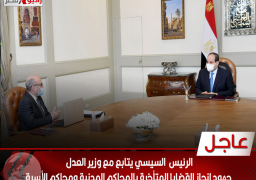 الرئيس السيسي يتابع جهود إنجاز القضايا المتأخرة بالمحاكم المدنية ومحاكم الأسرة