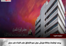 “معلومات الوزراء” يرصد توقعات وكالة فيتش حول نمو الإنفاق على الغذاء فى مصر