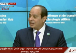 السيسي: نسعى إلى توفير التكنولوجيا المطلوبة لتصنيع اللقاحات في إفريقيا