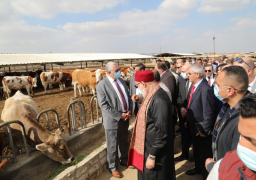 الزراعة : تسليم 200 رأس ماشية على صغار المربيين من السلالات عالية الإنتاجية للحوم والالبان بالتعاون مع مصر الخير والبنك الزراعي