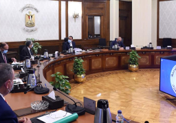 رئيس الوزراء يتابع خطوات إنشاء محطات تحلية مياه البحر