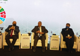 عبدالعاطي يشارك فى جلسة “الأمن المائي الحضري من أجل التنمية المستدامة”