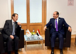 السيسي ونظيره القبرصى يبحثان تعزيز العلاقات التاريخية بين البلدين