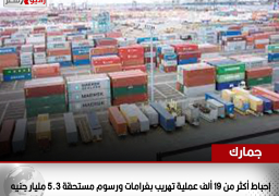 الجمارك: إحباط أكثر من 19 ألف عملية تهريب بغرامات ورسوم مستحقة 5.3 مليار جنيه