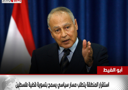 أبو الغيط:استقرار المنطقة يتطلب مسار سياسي يسمح بتسوية قضية فلسطين