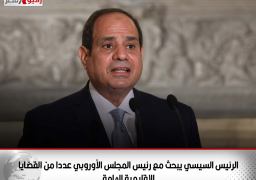 الرئيس السيسي يبحث مع رئيس المجلس الأوروبي عددا من القضايا الإقليمية الهامة