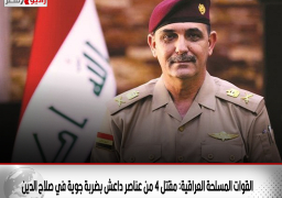 القوات المسلحة العراقية: مقتل 4 من عناصر داعش بضربة جوية في صلاح الدين