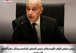 رئيس مجلس النواب الليبى ونائب رئيس المجلس الرئاسى يبحثان دعم المسار السياسى