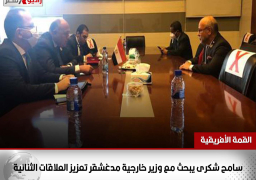 سامح شكرى يبحث مع وزير خارجية مدغشقر تعزيز العلاقات الثنائية