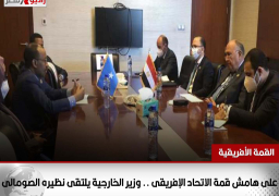 على هامش قمة الاتحاد الإفريقى .. وزير الخارجية يلتقى نظيره الصومالى