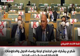 على هامش قمة الاتحاد الإفريقي … شكري يشارك في اجتماع لجنة رؤساء الدول والحكومات الأفارقة المعنية بتغير المُناخ