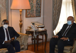 وزير الخارجية يستقبل مساعد الأمين العام للأمم المتحدة المعني بالمناخ
