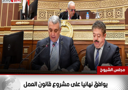 مجلس الشيوخ يوافق نهائيا على مشروع قانون العمل