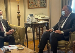 شكري يعقد مباحثات مع المدير التنفيذي لصندوق المناخ الأخضر