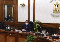 “الوزراء” يوافق على دعم الأنشطة الاستثمارية المتعلقة بالاقتصاد الأخضر