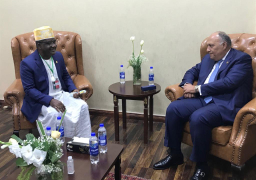 شكري يبحث التعاون مع وزيري خارجية جزر القمر وتايلاند