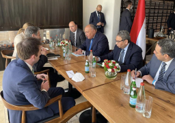 شكرى يبحث مع بلينكن عددا من القضايا الدولية والإقليمية