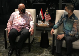 صور..شكري يبحث تطوير التعاون مع وزير التجارة الدولية والصناعة الماليزي