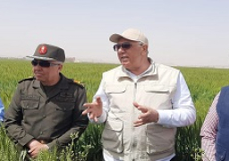 وزير الزراعة يتفقد أحد حقول القمح بأسوان ويؤكد أن المحصول بخير والدولة تدعم الاستثمار الاجنبي
