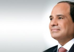 السيسى يعقد اجتماعًا عبر الفيديو كونفرانس مع رئيس وزراء اليونان