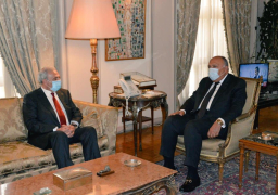 وزير الخارجية يؤكد دعم مصر المتواصل للقضية الفلسطينية