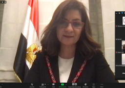 وزيرة الهجرة تعقد لقاء مع ممثلي الجالية والطلبة بأوكرانيا عبر”زووم”