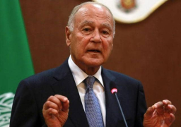 أبو الغيط يؤكد على أهمية الحل السياسي في اليمن ويدعو لمواجهة الحوثي