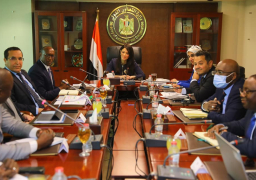 وزيرة التعاون الدولي تلتقي نائب رئيس بنك التنمية الأفريقي لمناقشة التعاون المشترك في إطار استعدادات مصر لاستضافة قمة المناخ COP27