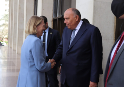 شكري يستقبل وزيرة خارجية النرويج