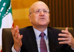 مقاتى: زراعة القمح بنوعيه ضرورة وطنية في ظل الظروف الراهنة