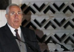 القصير يؤكد على توجيهات الرئيس السيسي بتقديم الدعم للأشقاء الأفارقة