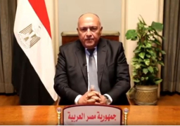 شكري: الدورة الـ27 لمؤتمر تغير المناخ نقطة فارقة على صعيد العمل الدولي